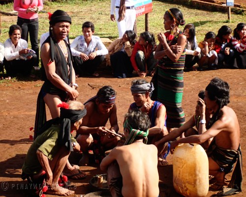 attraction-What to see in Mundolkiri Ceremonial Dance Phnong Village Pu Tang.jpg